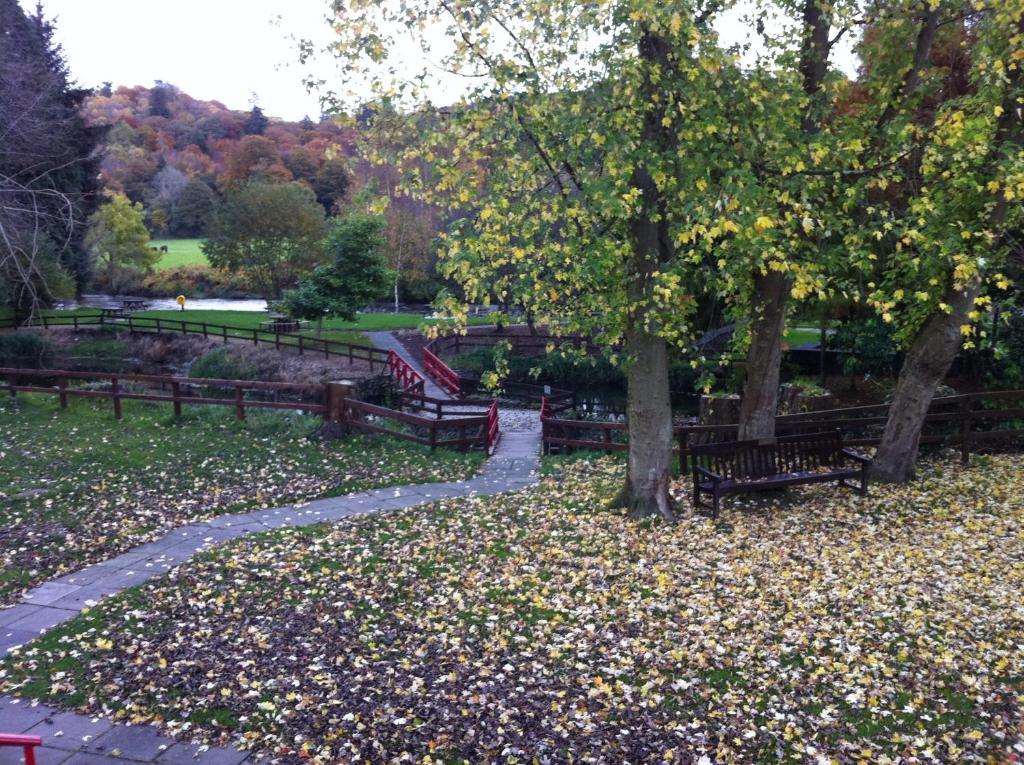 Ashton House Hotel Avoca Kültér fotó
