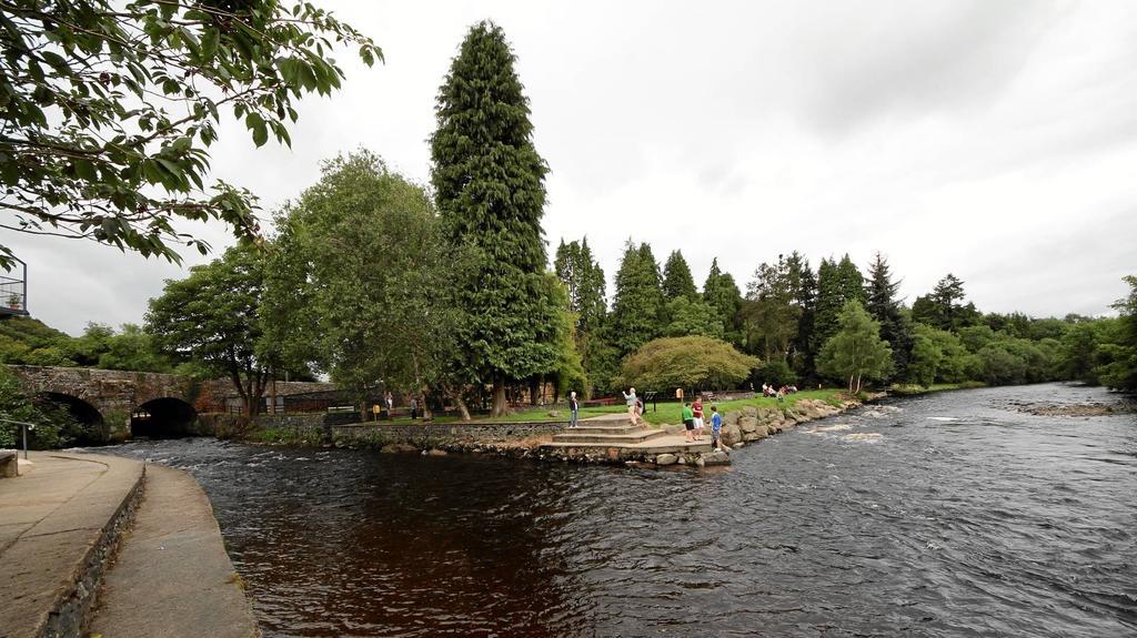 Ashton House Hotel Avoca Kültér fotó
