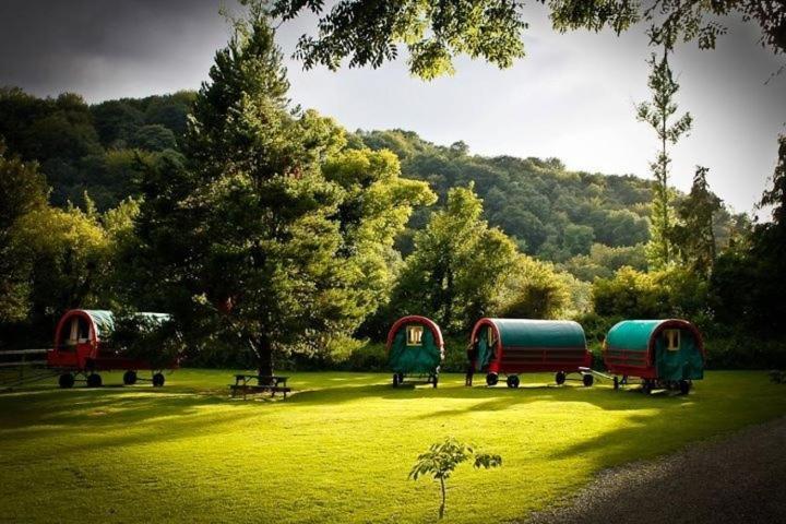 Ashton House Hotel Avoca Kültér fotó