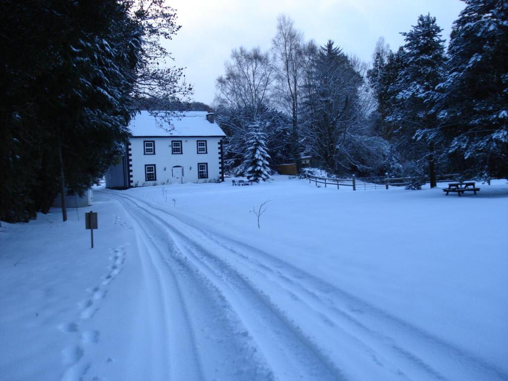 Ashton House Hotel Avoca Kültér fotó