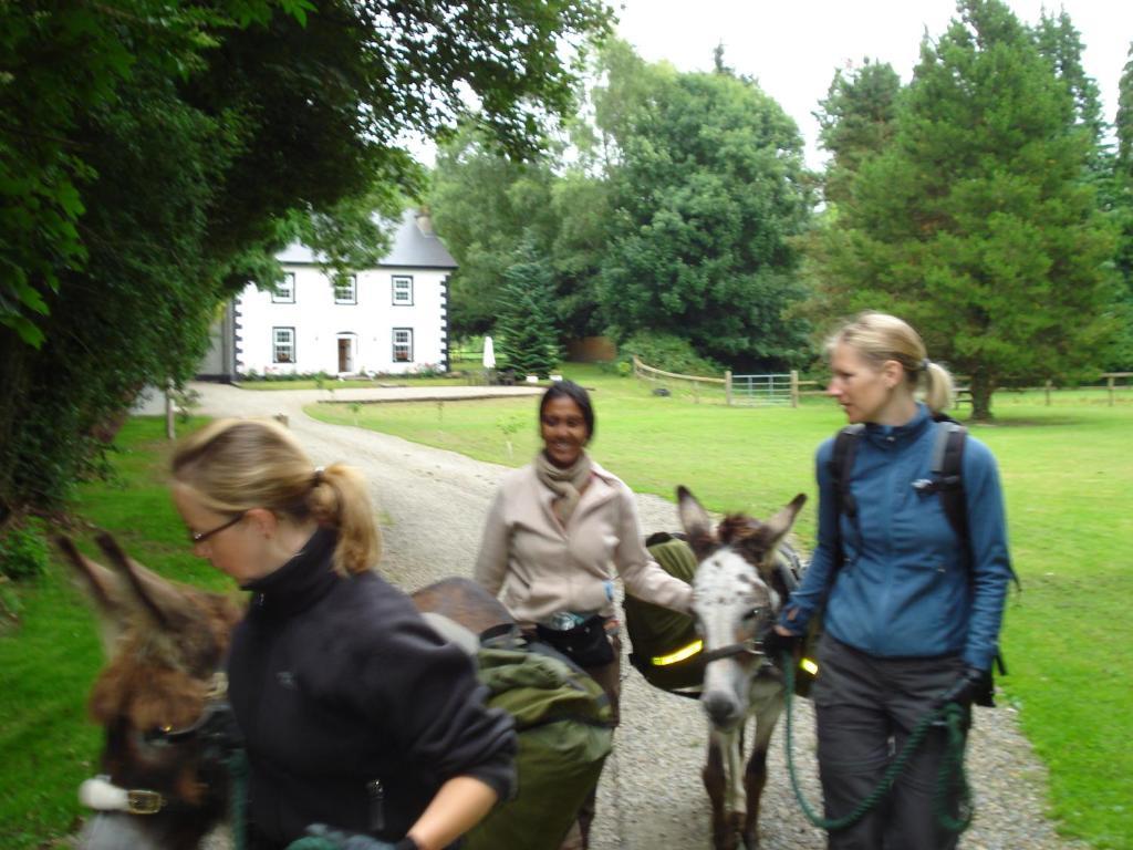 Ashton House Hotel Avoca Kültér fotó