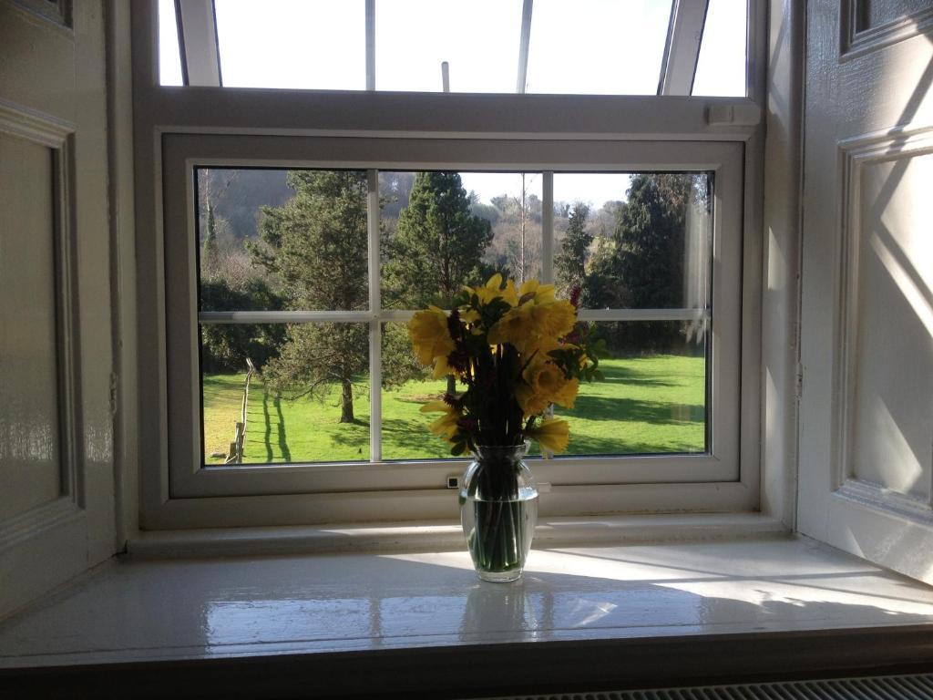 Ashton House Hotel Avoca Kültér fotó