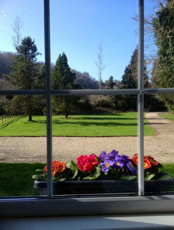Ashton House Hotel Avoca Kültér fotó